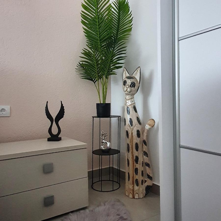 Afrodita Apartment Rednek Kültér fotó