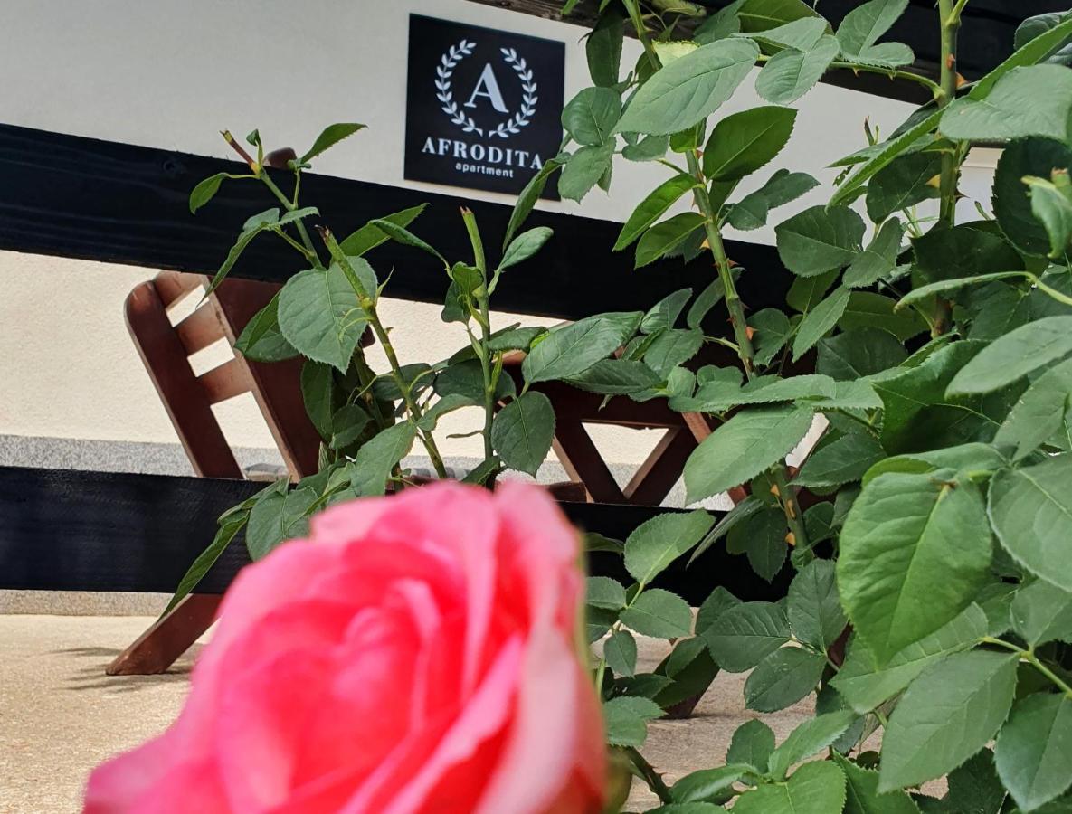 Afrodita Apartment Rednek Kültér fotó
